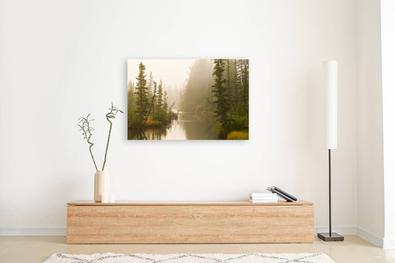 Misty Creek Reproduction