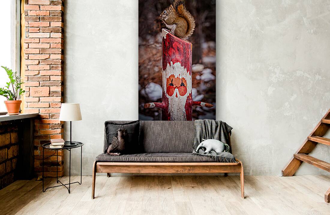 Squirrel and Santa Reproduction