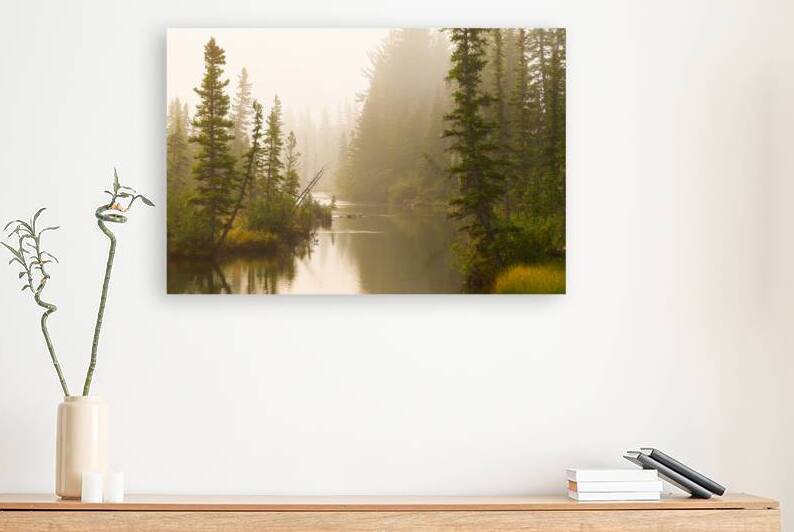 Misty Creek Reproduction