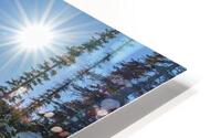 Bow River L.L HD Metal print