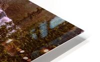 Tangle Falls HD Metal print