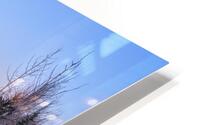 Mount Rundle Reflection HD Metal print