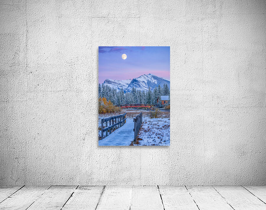 Policeman s Creek Walking Trail Wall Preview