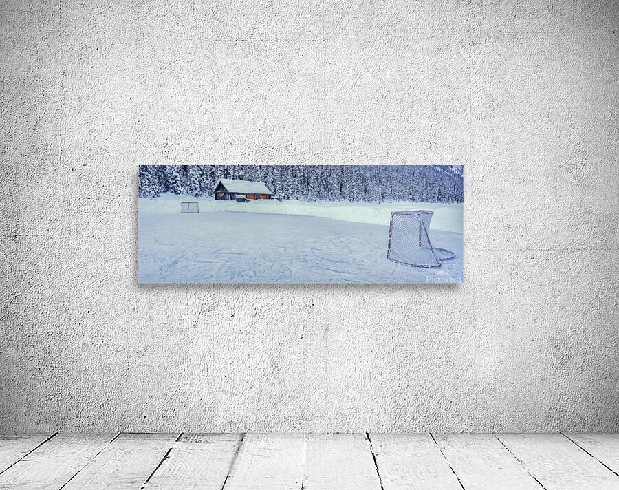 Hockey Net Wall Preview