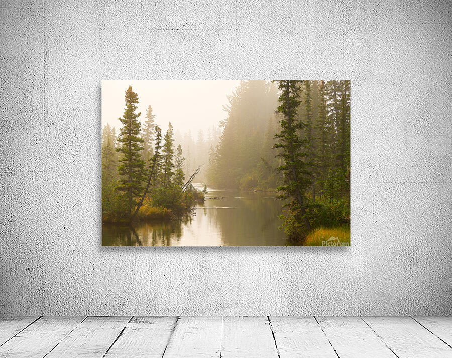 Misty Creek Wall Preview