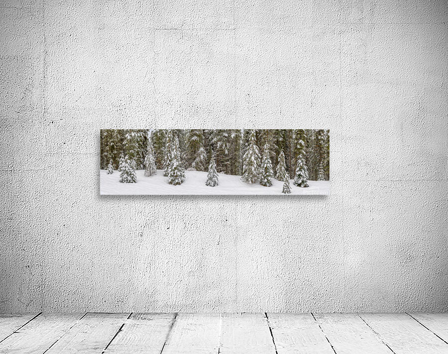 Snowy Trees Wall Preview