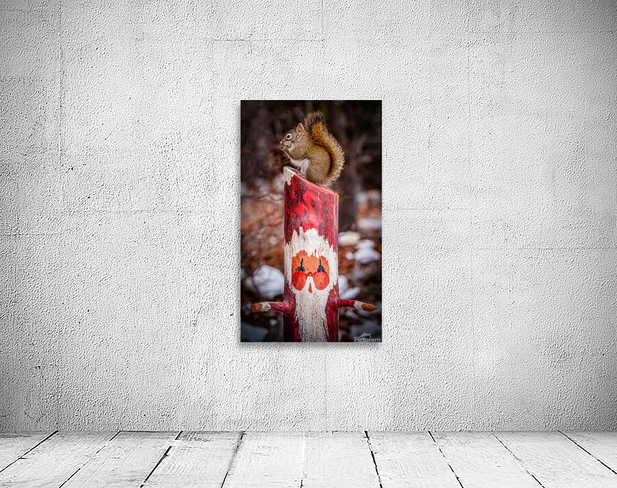 Squirrel and Santa Wall Preview