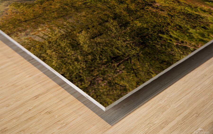 Cabin   3 Valley Lake Wood print