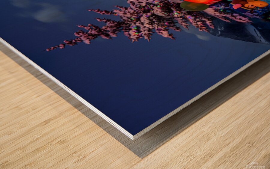 Christmas Display 2 Wood print