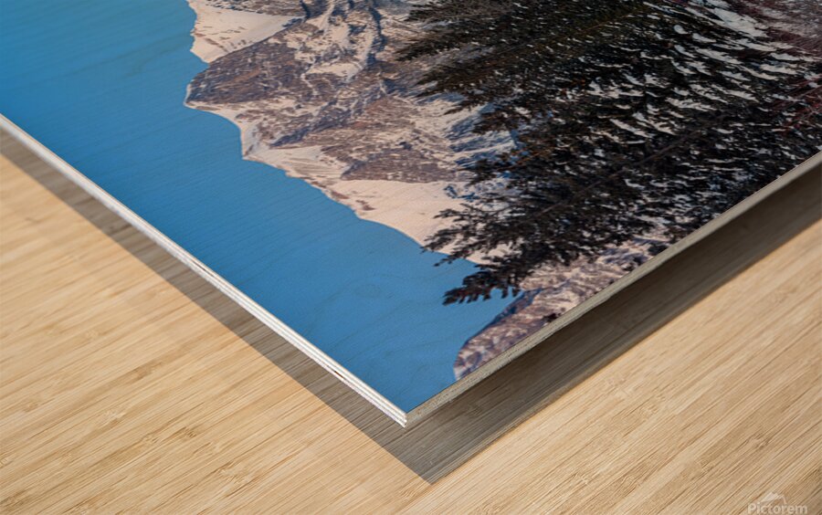 Policeman s Creek Bridge 1 BW Wood print