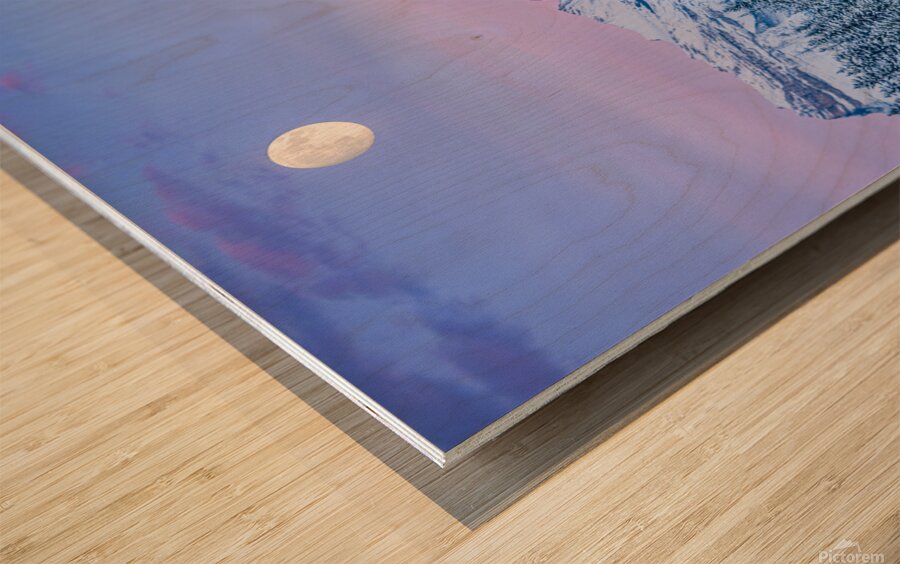 Policeman s Creek Walking Trail Wood print