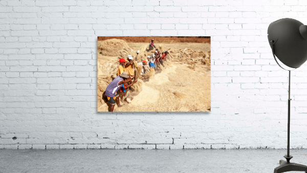 Riziere Madagascar Wall Preview