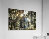 Spring Sunlight Acrylic Print