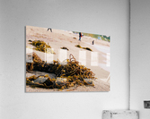 Washed Up Acrylic Print