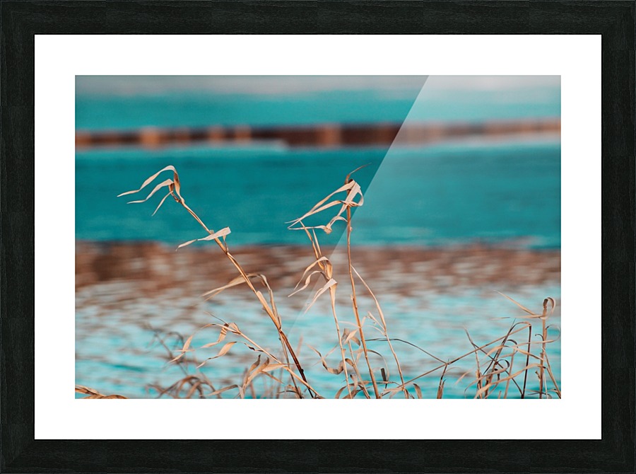 Wisconsin Whisps Picture Frame print