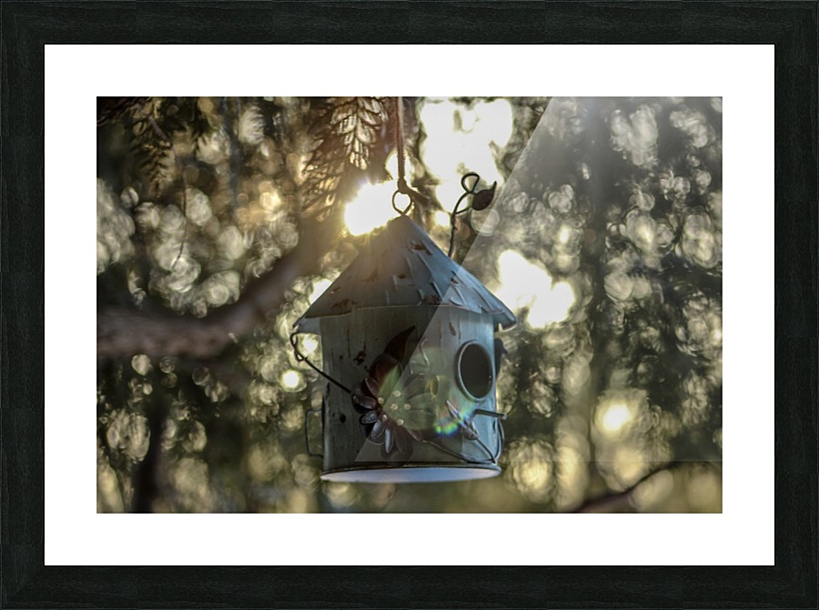 Spring Sunlight Picture Frame print