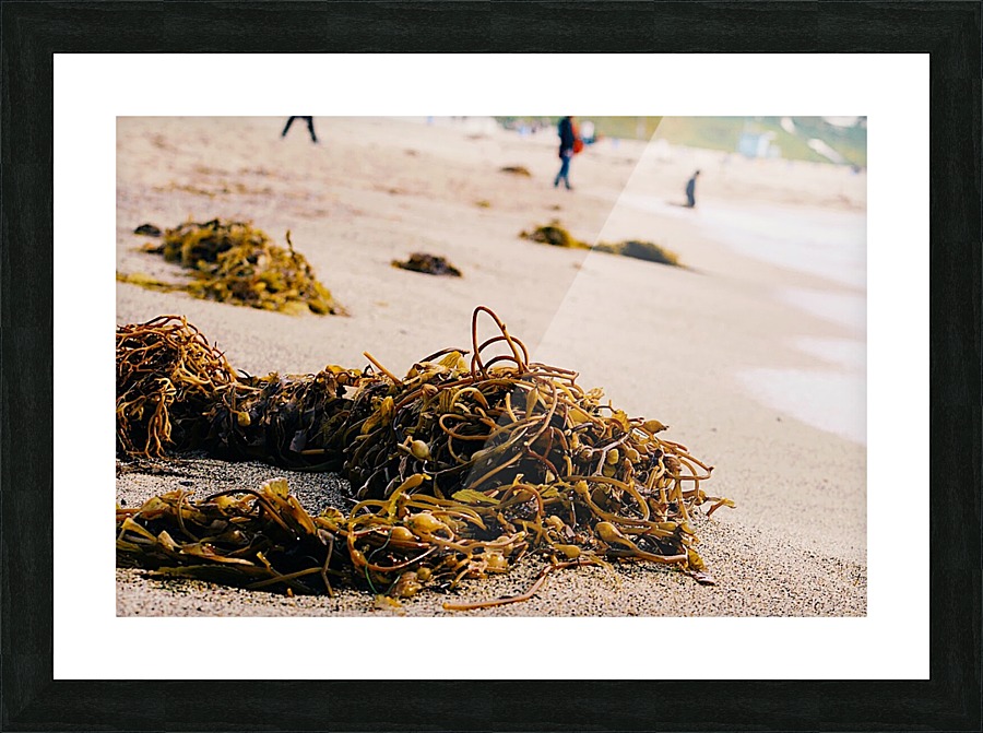 Washed Up Picture Frame print