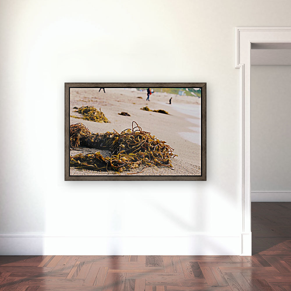 Washed Up Reproduction