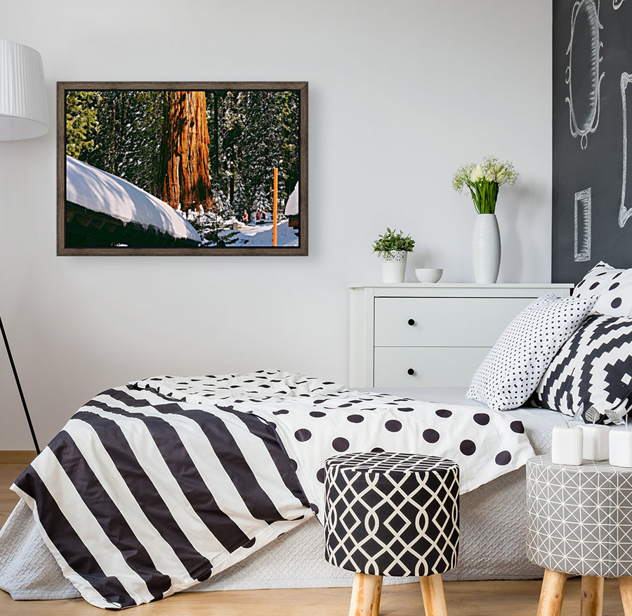 Sunny Sequoias Reproduction