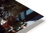 Sequoia Pathway HD Metal print