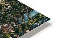 Sunny Sequoias HD Metal print