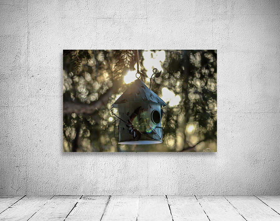 Spring Sunlight Wall Preview