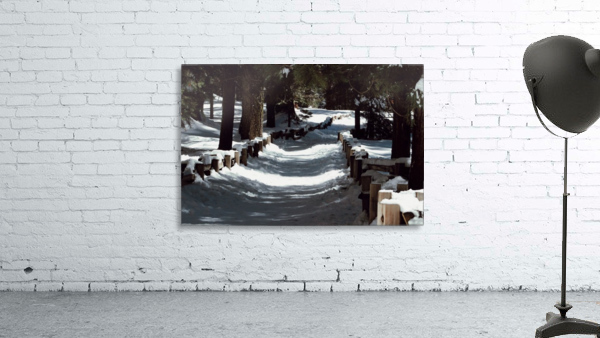 Sequoia Pathway Wall Preview