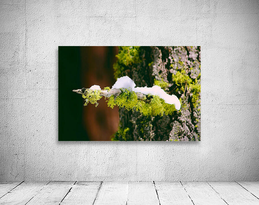 Mossy Perch Wall Preview