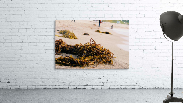 Washed Up Wall Preview