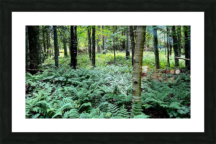 Saranac Lake NY Picture Frame print