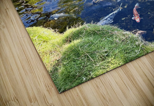 Koi Pond Tom Bromann puzzle