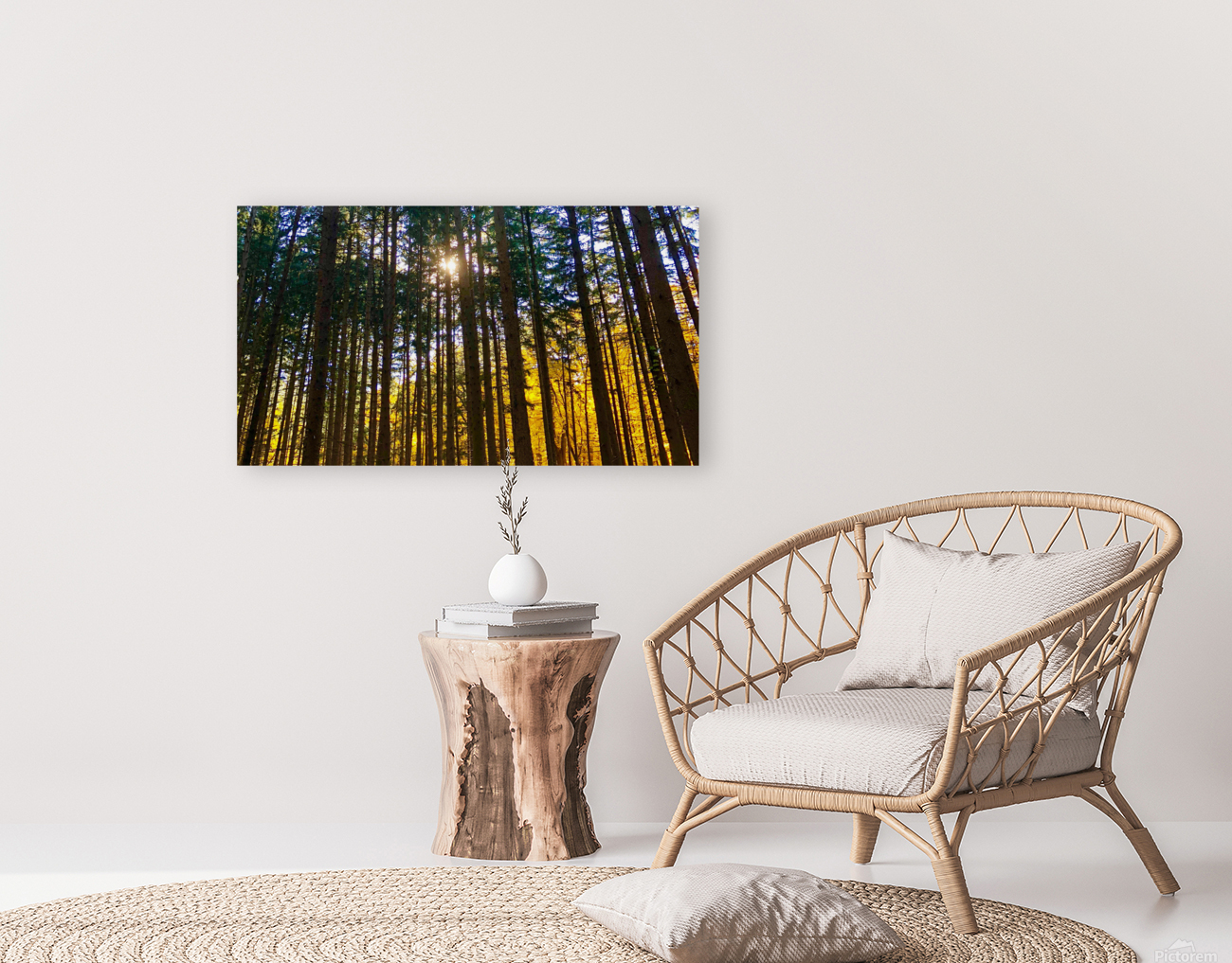 Autumn Through the Trees Reproduction