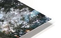 Capilano Bridge Park HD Metal print