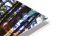 Autumn Through the Trees HD Metal print