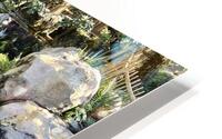 Koi Pond HD Metal print