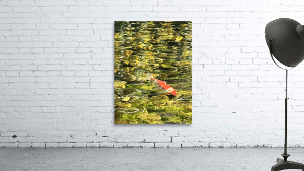 Ripple Waters Wall Preview