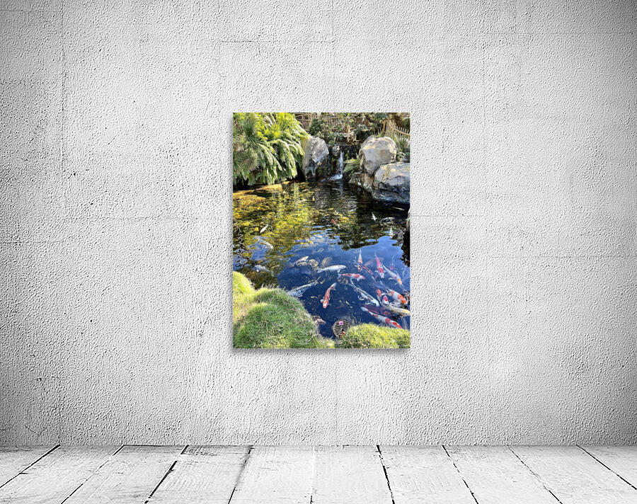 Koi Pond Wall Preview