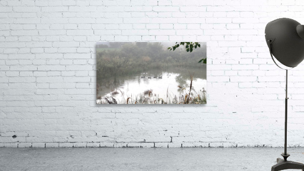 Ducks in a Row Wall Preview