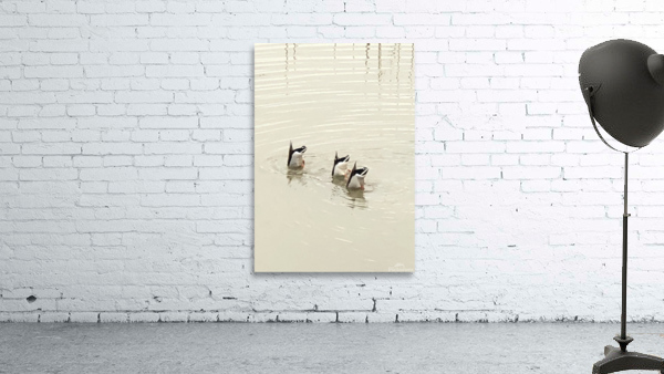 Butts Up  Wall Preview