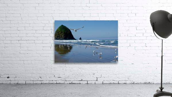 Cannon Beach Wall Preview