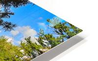 Chico Pond HD Metal print