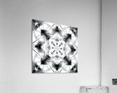Icicle Acrylic Print
