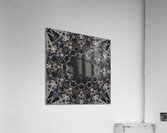 Black Bamboo Acrylic Print