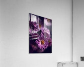 Dark Pink Acrylic Print