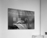 Smug Mug Frog Acrylic Print