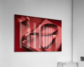 Secrets Acrylic Print