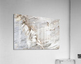 Birch Bark II Acrylic Print