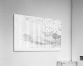 Winter Sulfur Mine  Acrylic Print