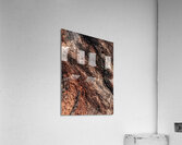 Old Age Acrylic Print