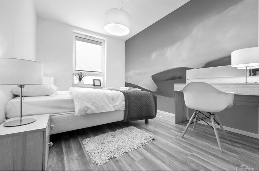 Snowdrift Mural print
